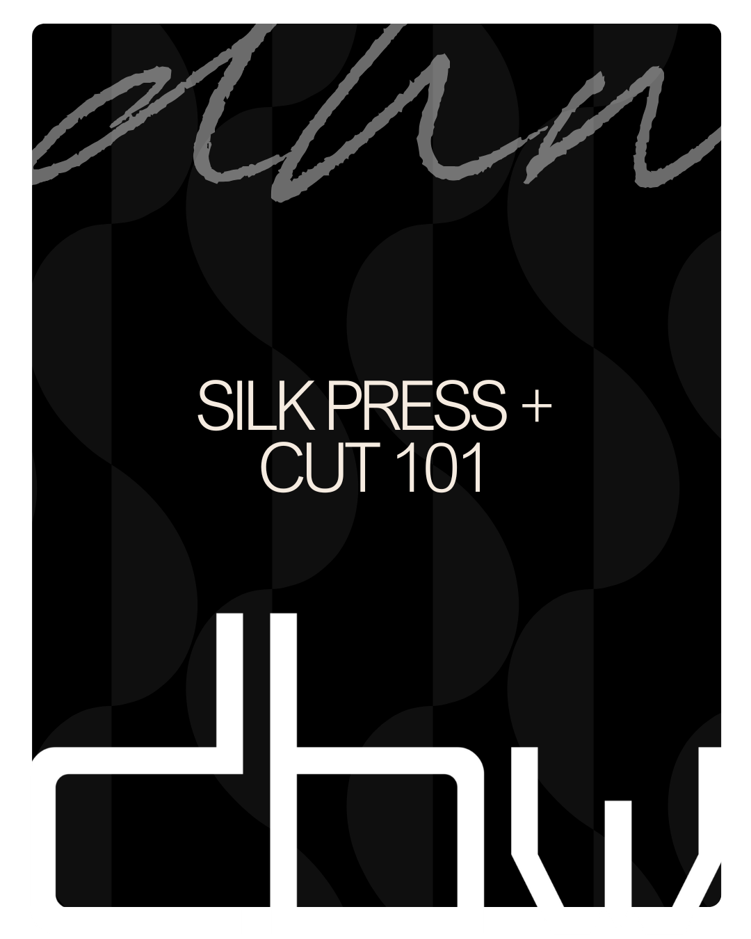 SILK PRESS + CUT 101